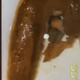 A curvy black woman bends over a toilet and spreads her cheeks. A soft turd peeks out and hangs from her ass. She wipes with tissue, then shows a big, soft pile in the bowl at the end. Vertical format video. About 2 minutes.